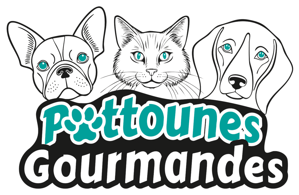 Logo Pattounes Gourmandes