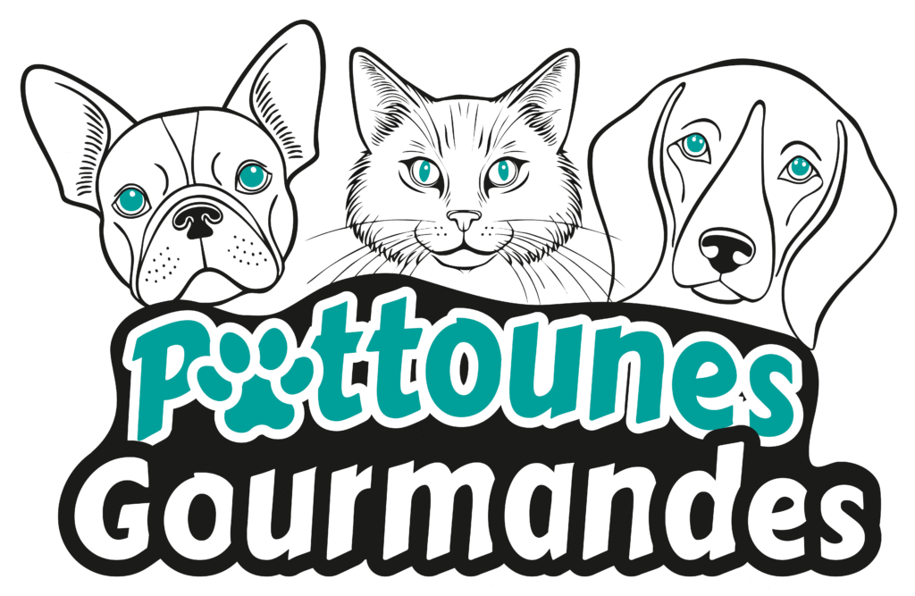 Logo Pattounes Gourmandes