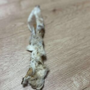 Oreille de lapin avec poils