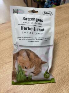 Recharge herbe à chat
