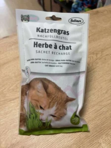 Recharge herbe à chat