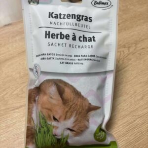 Recharge herbe à chat