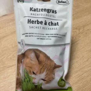 Recharge herbe à chat