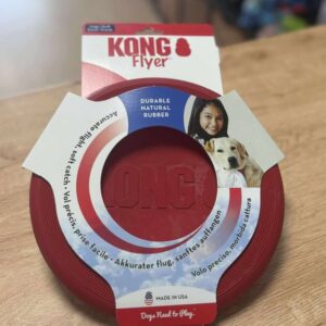 Kong frisbee