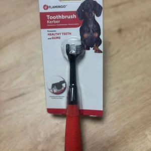 Brosse à dents