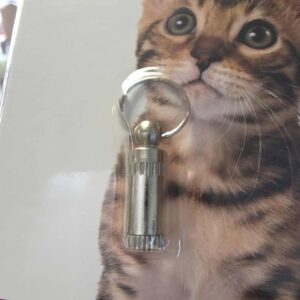 Porte-adresse pour chat