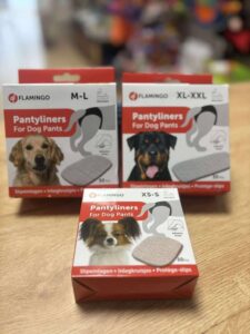 Protège-slip féminin