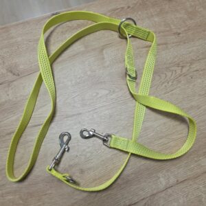 Laisse 3 points fluo 2m