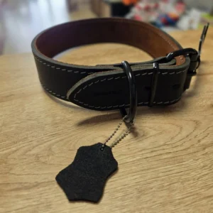Collier montana