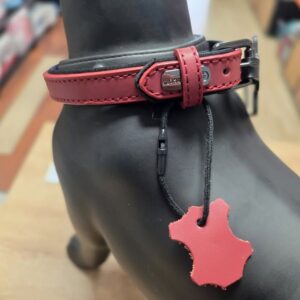 Collier néoprène rouge