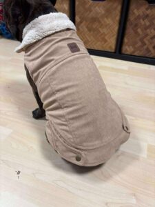 Manteau beige ou rose