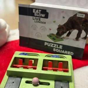Puzzle Squared