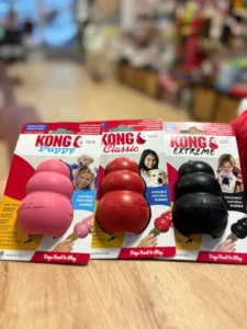 Kong