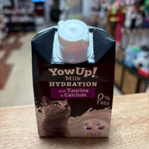 Yow up lactose