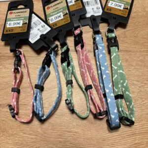 Collier puppy os