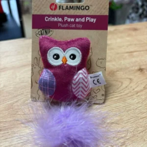 Hibou Violet