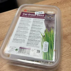 Herbe à chat