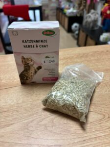 Herbe à chat en recharge pour jouet