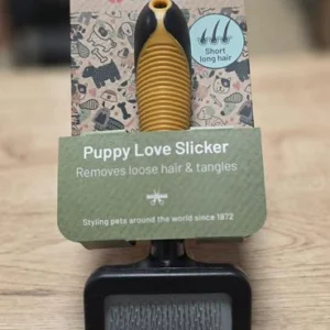 Brosse Puppy