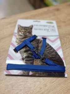 Harnais bleu chat