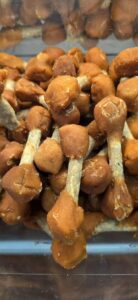 Haltère au poulet 100g