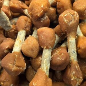 Haltère au poulet 100g