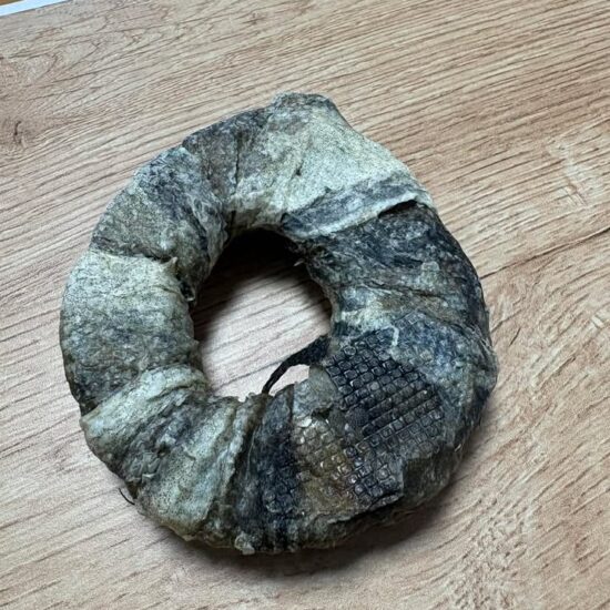 662757690_1307047744658377_4554191684354848585_n