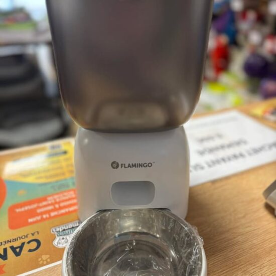 664232004_1437389160835568_823998461001489629_n