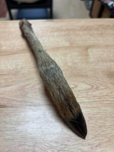Patte de chevreuil avec poils