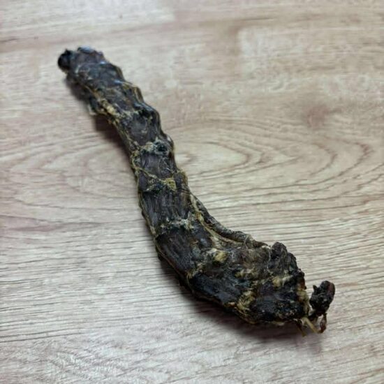 667417119_1496762872014524_5216568883878635493_n (1)