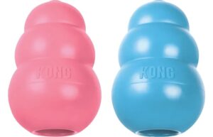 Kong Puppy taille S