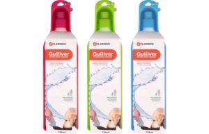 Gourde Gulliver