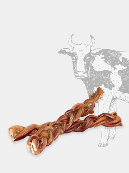 inooko-friandises-mastication-pour-chien-bully-stick-tresse-nerf-de-boeuf-25cm-1_450x inooko-friandises-mastication-pour-chien-bully-stick-tresse-nerf-de-boeuf-25cm-1_450x