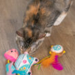 catstages-jouet-lot-3-peluches-pour-chat-festival-2_2048x2048