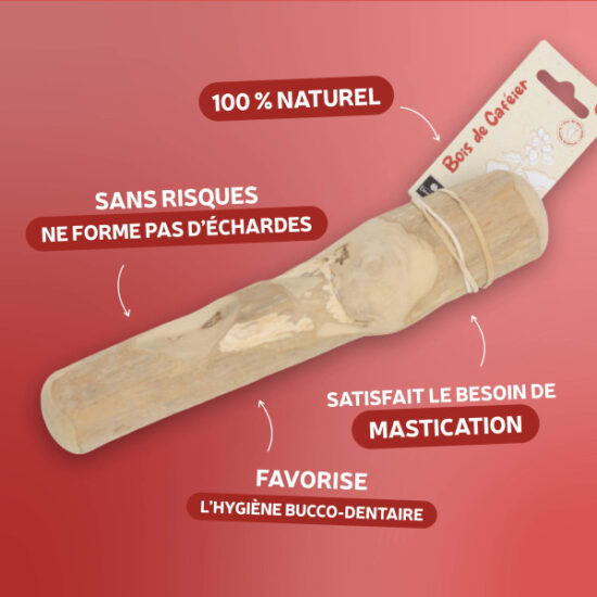 bois-de-cafeier